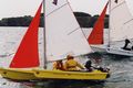 trimaran AND proa